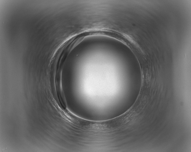X0000056381356200508261149