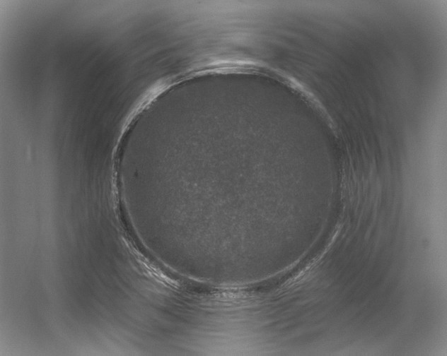 X0000056381362200508261149