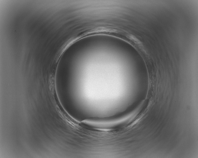 X0000056381369200508261149