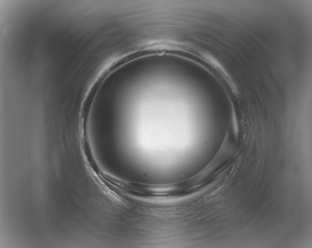 X0000056381376200508261149