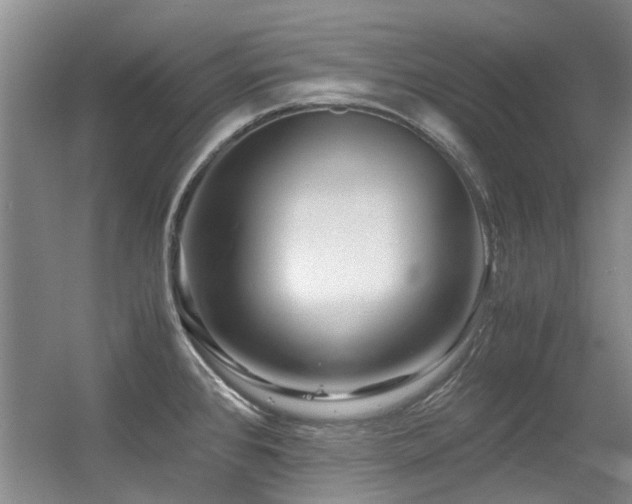 X0000056381384200508261149