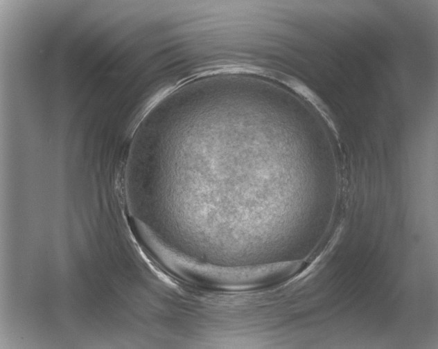 X0000056381385200508261149