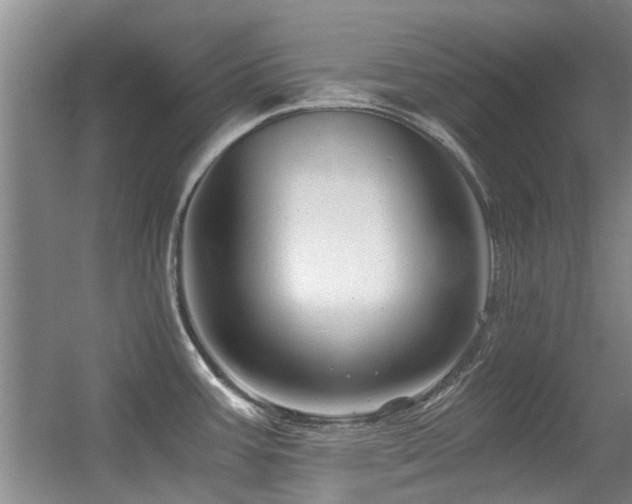 X0000056381387200508261149