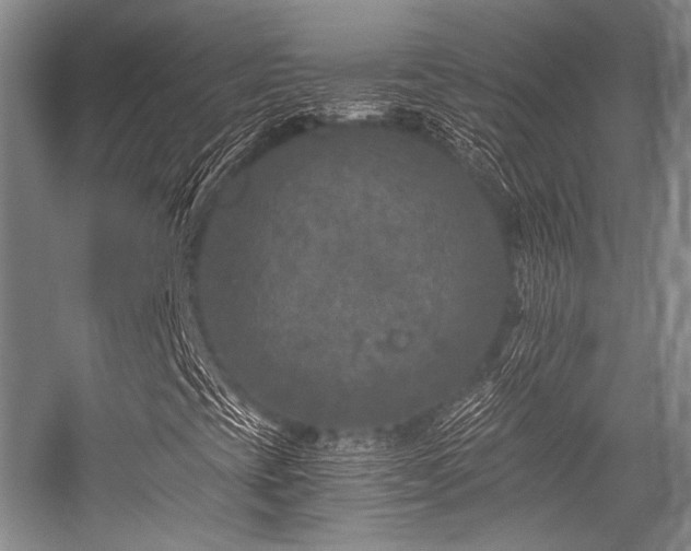 X0000056381393200508261148