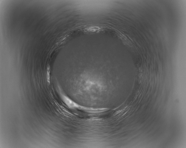 X0000056381394200508261148