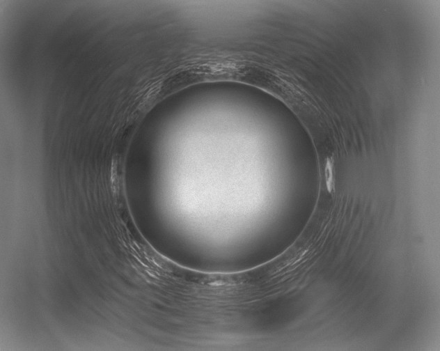 X0000056381395200508261148