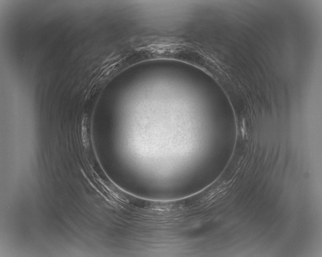 X0000056381396200508261148