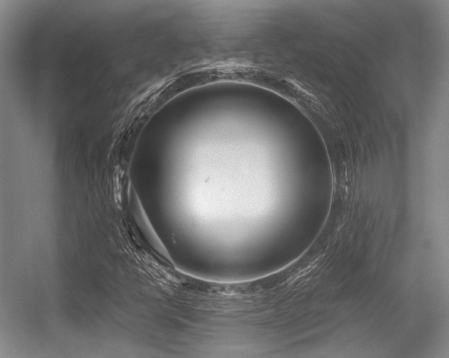 X0000056381398200508261148