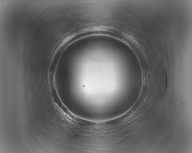 X0000056381404200508261148