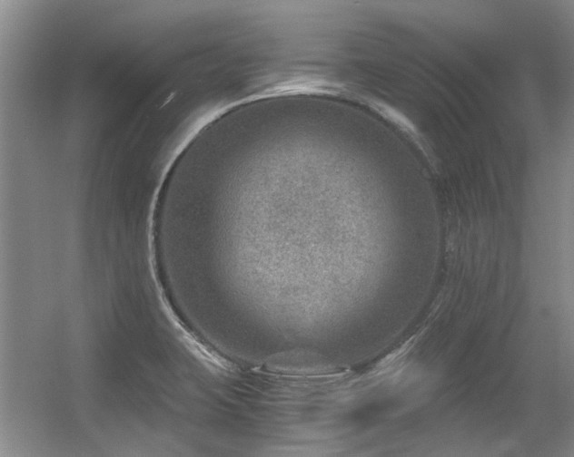 X0000056381423200508261148