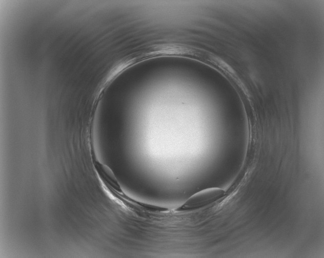 X0000056381433200508261148