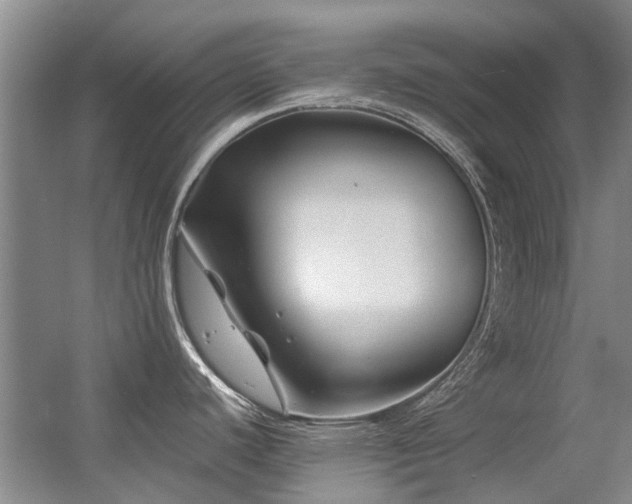 X0000056381440200508261148