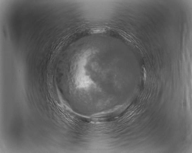 X0000056381441200508261148