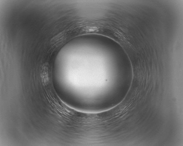 X0000056381442200508261148