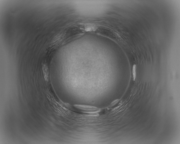 X0000056381443200508261148