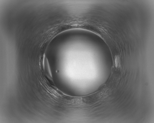 X0000056381444200508261148