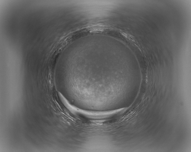 X0000056381445200508261148