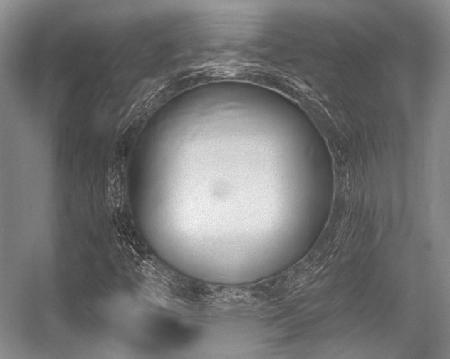 X0000056381446200508261148