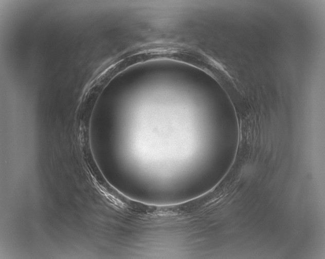 X0000056381448200508261148