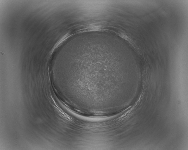 X0000056381450200508261148