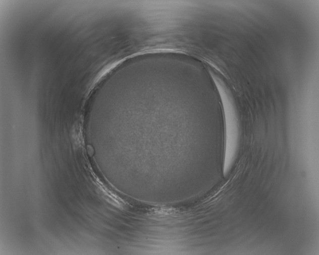 X0000056381452200508261147