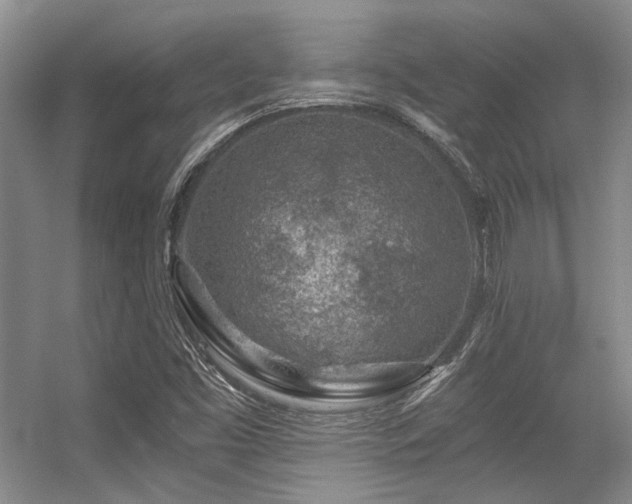 X0000056381453200508261147