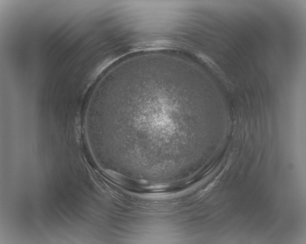 X0000056381457200508261147