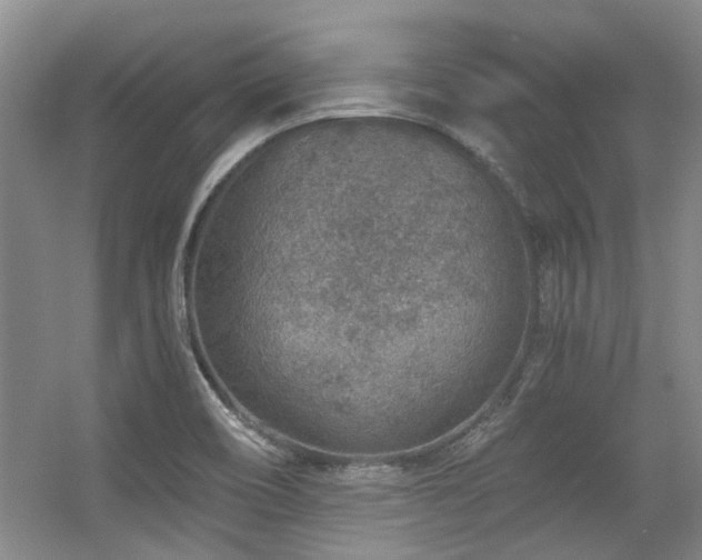 X0000056381466200508261147