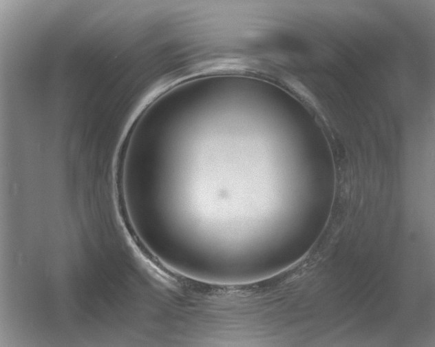 X0000056381475200508261147