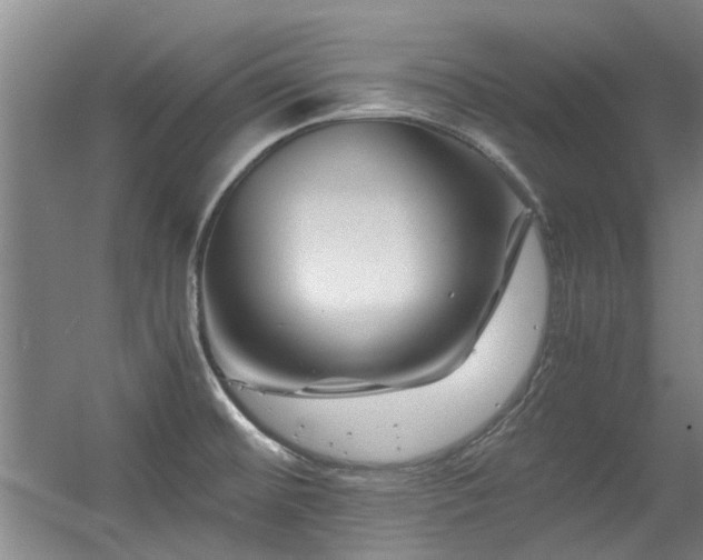 X0000056381476200508261147