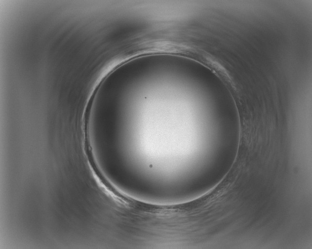 X0000056381479200508261147