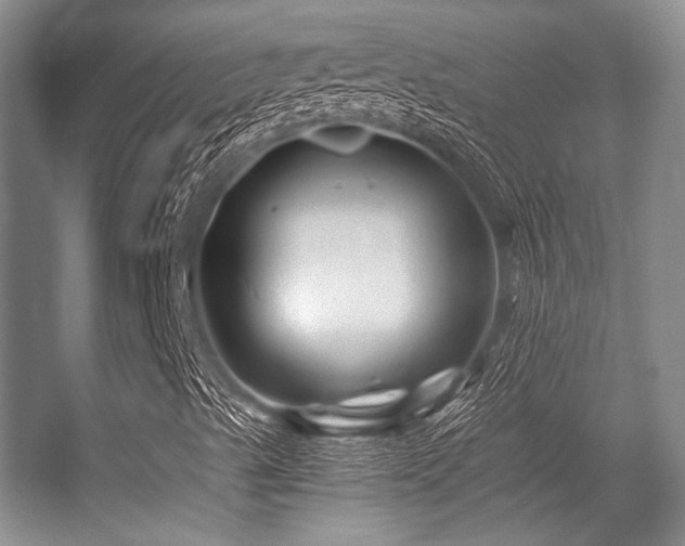 X0000056381489200508261146