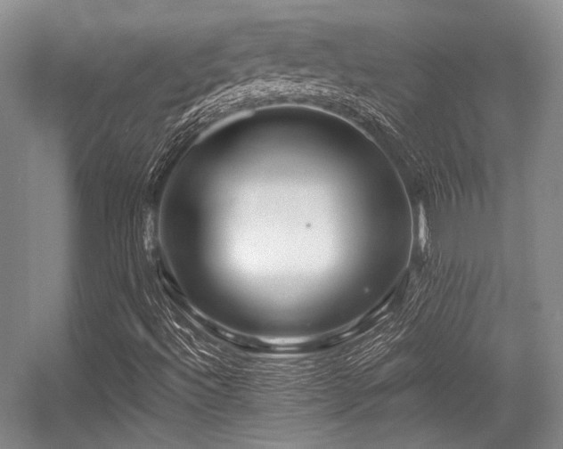 X0000056381492200508261146