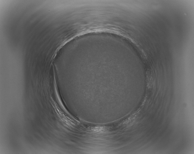 X0000056381497200508261146