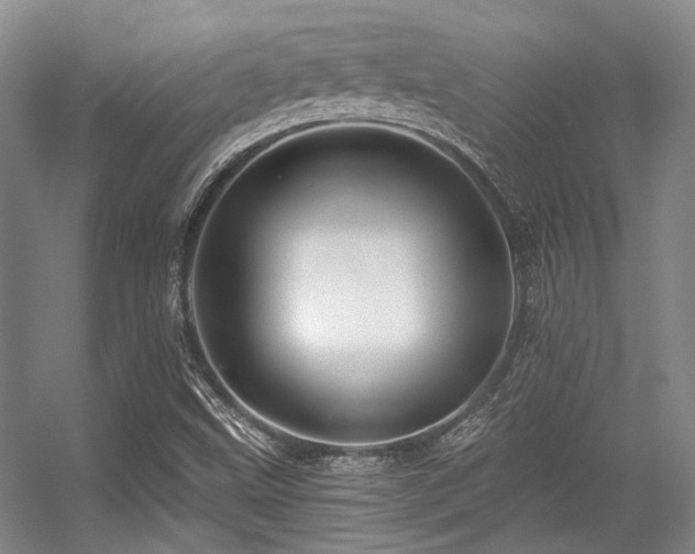 X0000056381499200508261146