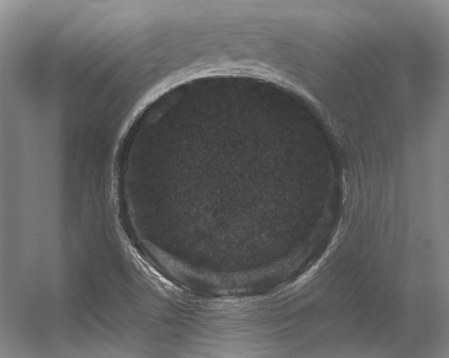 X0000056381506200508261146