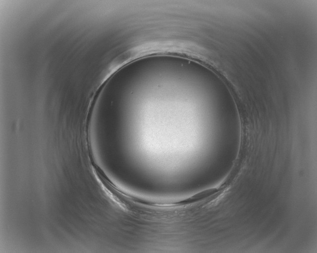 X0000056381521200508261147