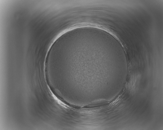 X0000056381535200508261147