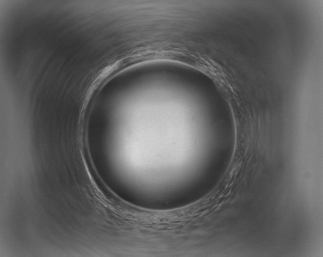 X0000056380003200508291424
