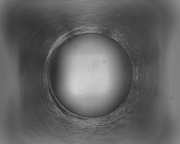 X0000056380004200508291424