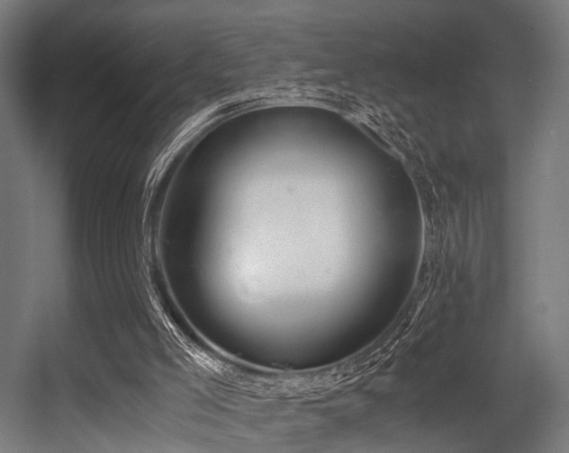 X0000056380005200508291424