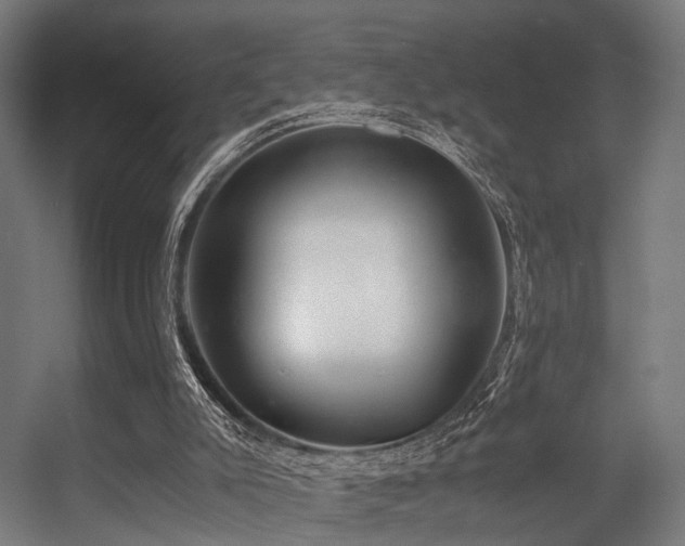 X0000056380007200508291424