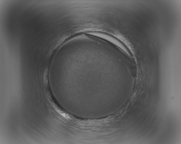X0000056380009200508291424