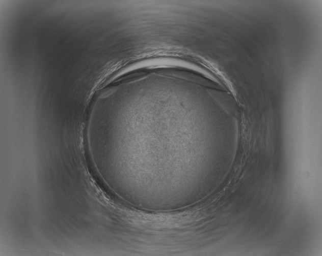 X0000056380010200508291424