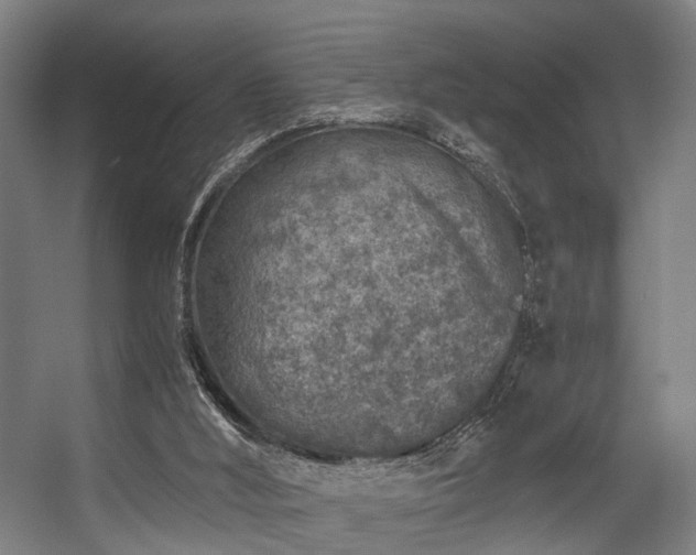 X0000056380012200508291424