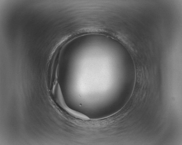 X0000056380015200508291424