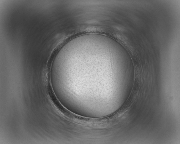 X0000056380016200508291424