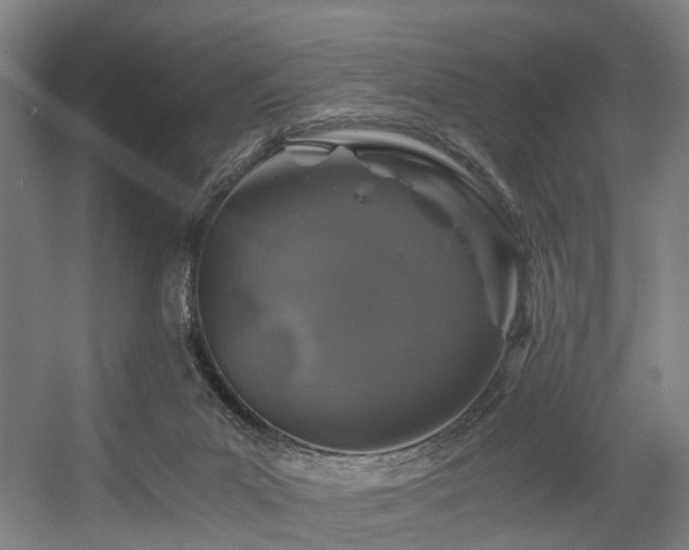 X0000056380023200508291424