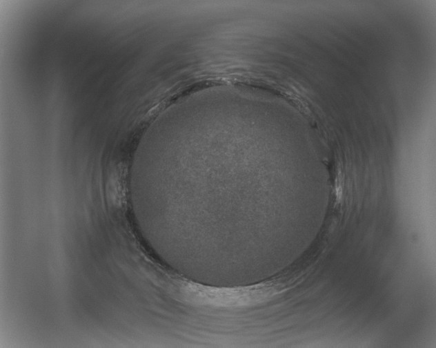 X0000056380030200508291424