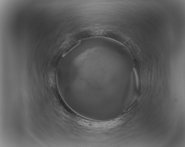 X0000056380035200508291424